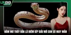 Nằm mơ thấy rắn